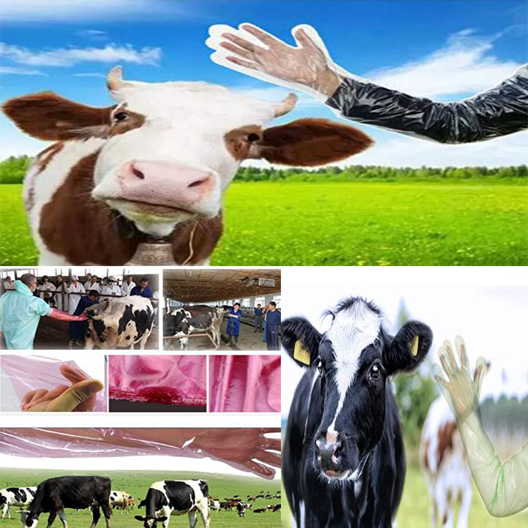 PE Veterinary Gloves 5